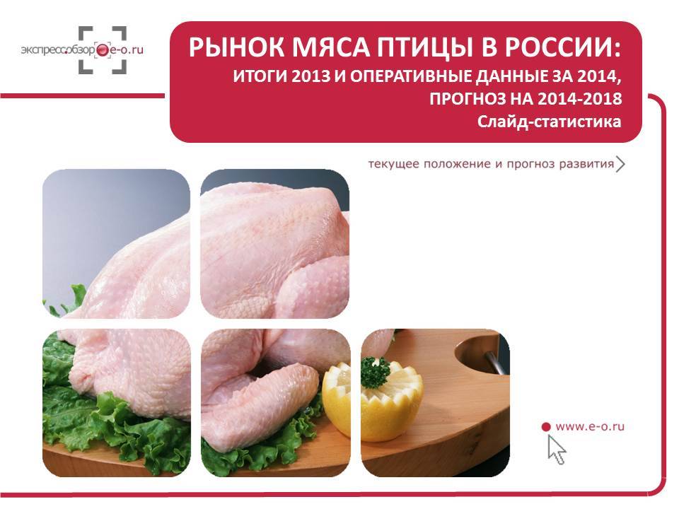 Российский рынок мяса птицы 2013