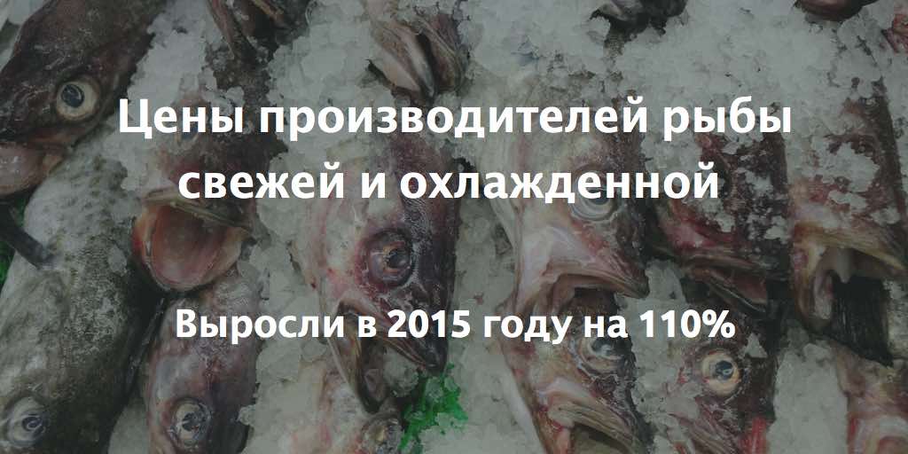 Цены производителей рыбы свежей и охлажденной выросли в 2015 году на 110%