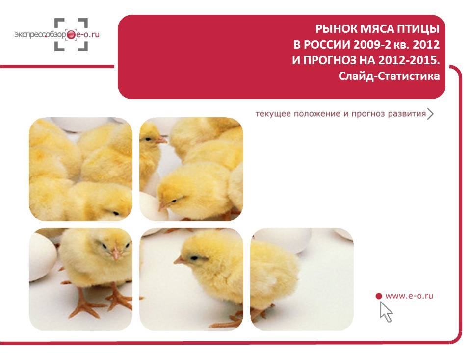 Рынок мяса прицы 2012